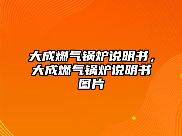 大成燃氣鍋爐說明書，大成燃氣鍋爐說明書圖片