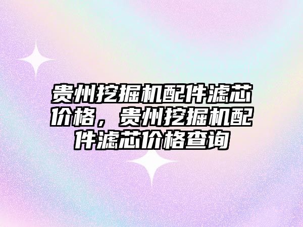 貴州挖掘機配件濾芯價格，貴州挖掘機配件濾芯價格查詢