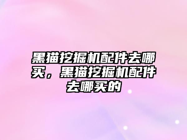 黑貓挖掘機配件去哪買，黑貓挖掘機配件去哪買的