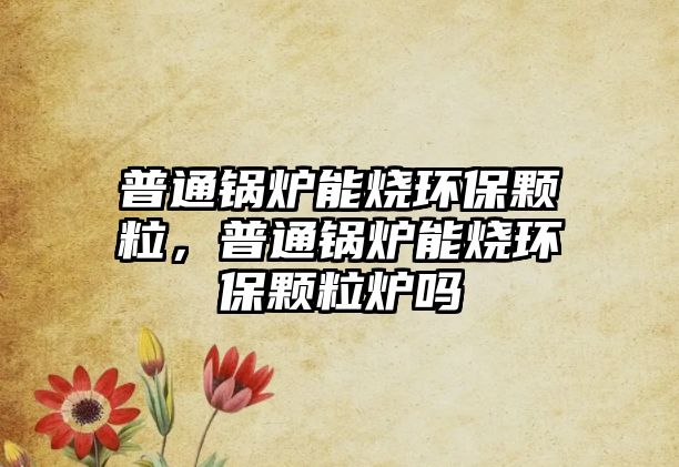 普通鍋爐能燒環保顆粒，普通鍋爐能燒環保顆粒爐嗎