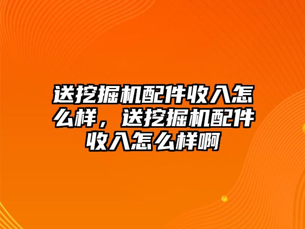 送挖掘機配件收入怎么樣，送挖掘機配件收入怎么樣啊