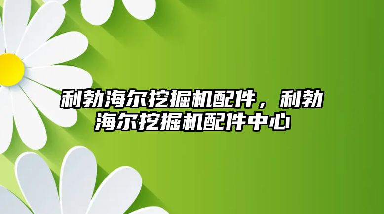 利勃海爾挖掘機配件，利勃海爾挖掘機配件中心