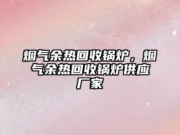 煙氣余熱回收鍋爐，煙氣余熱回收鍋爐供應廠家