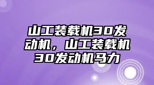 山工裝載機(jī)30發(fā)動機(jī)，山工裝載機(jī)30發(fā)動機(jī)馬力