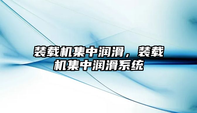 裝載機集中潤滑，裝載機集中潤滑系統(tǒng)