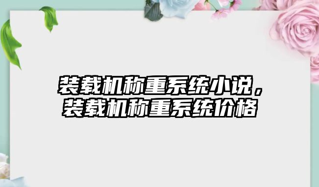 裝載機稱重系統小說，裝載機稱重系統價格