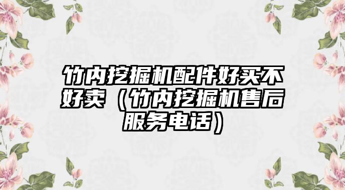 竹內(nèi)挖掘機配件好買不好賣（竹內(nèi)挖掘機售后服務(wù)電話）