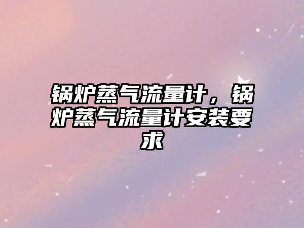 鍋爐蒸氣流量計，鍋爐蒸氣流量計安裝要求