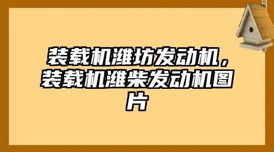 裝載機(jī)濰坊發(fā)動機(jī)，裝載機(jī)濰柴發(fā)動機(jī)圖片