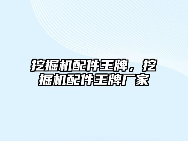 挖掘機配件王牌，挖掘機配件王牌廠家