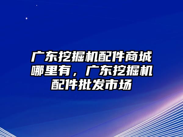 廣東挖掘機配件商城哪里有，廣東挖掘機配件批發市場