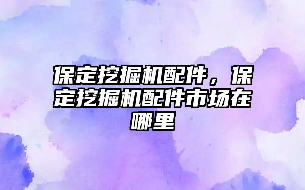 保定挖掘機(jī)配件，保定挖掘機(jī)配件市場在哪里