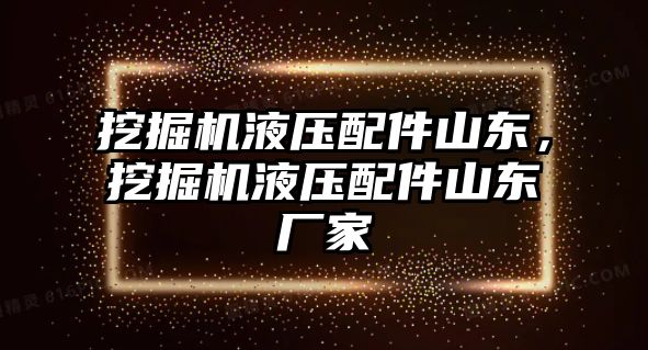 挖掘機液壓配件山東，挖掘機液壓配件山東廠家