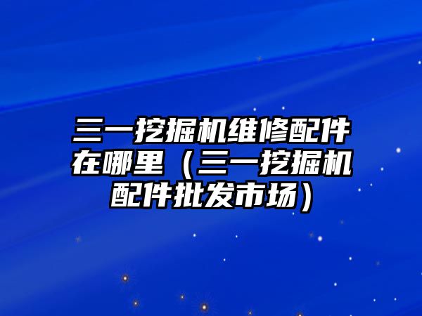 三一挖掘機維修配件在哪里（三一挖掘機配件批發市場）