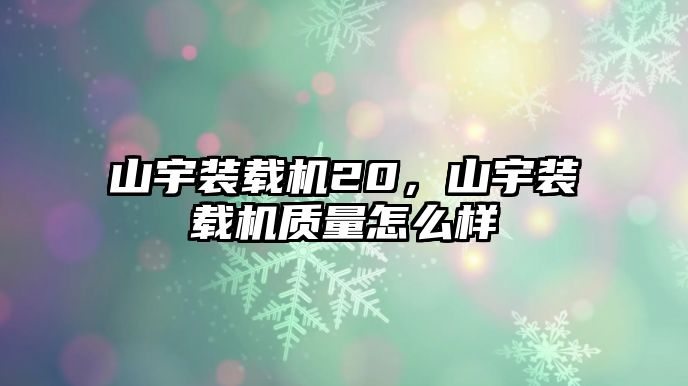 山宇裝載機20，山宇裝載機質量怎么樣