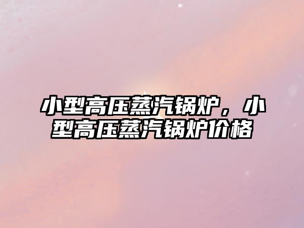 小型高壓蒸汽鍋爐，小型高壓蒸汽鍋爐價格