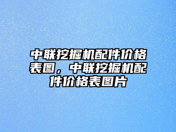 中聯(lián)挖掘機(jī)配件價(jià)格表圖，中聯(lián)挖掘機(jī)配件價(jià)格表圖片