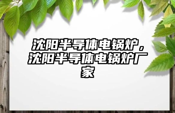 沈陽半導(dǎo)體電鍋爐，沈陽半導(dǎo)體電鍋爐廠家