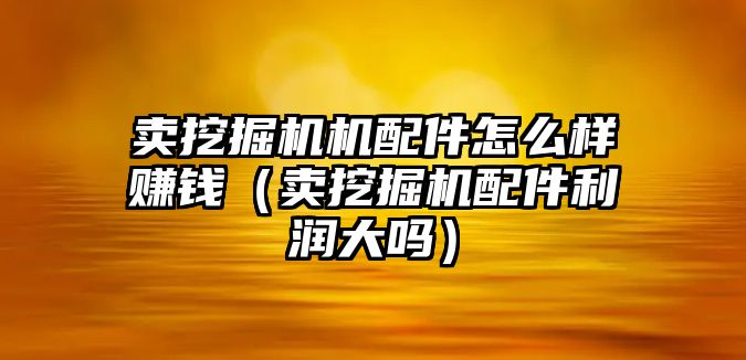 賣挖掘機機配件怎么樣賺錢（賣挖掘機配件利潤大嗎）