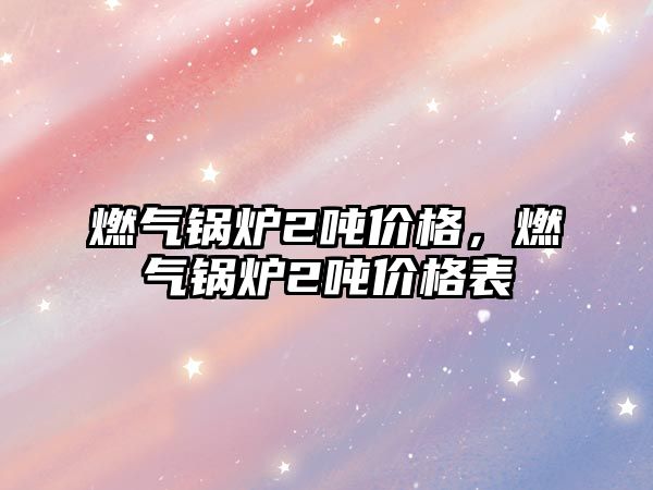 燃?xì)忮仩t2噸價格，燃?xì)忮仩t2噸價格表