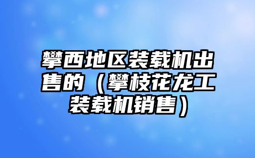 攀西地區裝載機出售的（攀枝花龍工裝載機銷售）