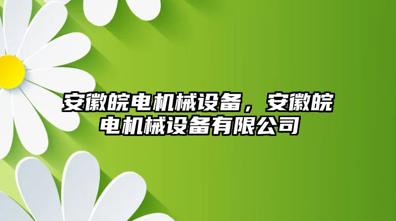 安徽皖電機械設備，安徽皖電機械設備有限公司