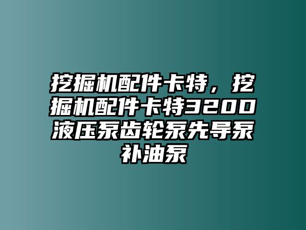 挖掘機(jī)配件卡特，挖掘機(jī)配件卡特320D液壓泵齒輪泵先導(dǎo)泵補(bǔ)油泵