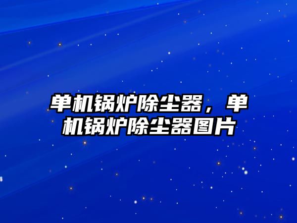 單機鍋爐除塵器，單機鍋爐除塵器圖片