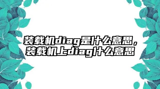 裝載機(jī)diag是什么意思，裝載機(jī)上diag什么意思