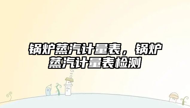 鍋爐蒸汽計量表，鍋爐蒸汽計量表檢測