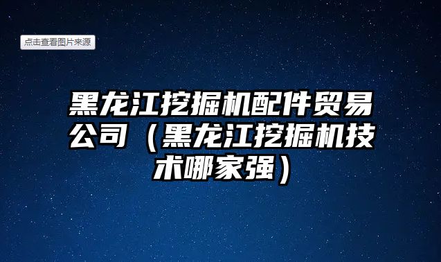 黑龍江挖掘機配件貿易公司（黑龍江挖掘機技術哪家強）