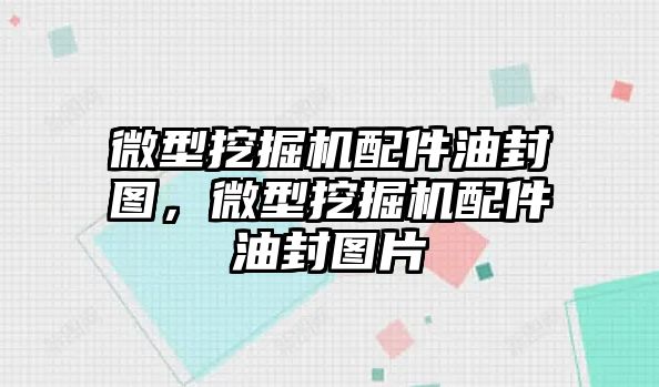 微型挖掘機配件油封圖，微型挖掘機配件油封圖片