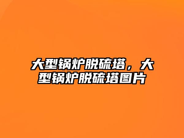 大型鍋爐脫硫塔，大型鍋爐脫硫塔圖片