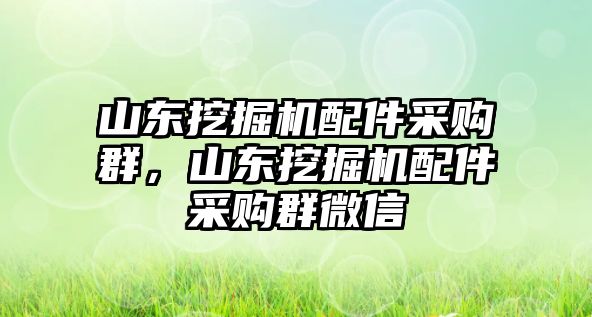 山東挖掘機配件采購群，山東挖掘機配件采購群微信