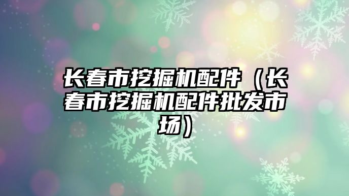 長春市挖掘機配件（長春市挖掘機配件批發市場）