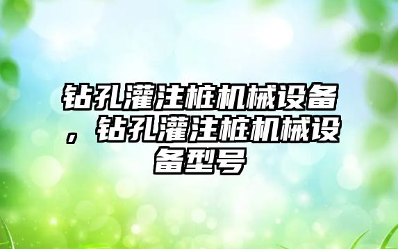 鉆孔灌注樁機械設備，鉆孔灌注樁機械設備型號