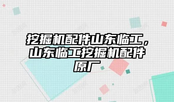 挖掘機配件山東臨工，山東臨工挖掘機配件原廠