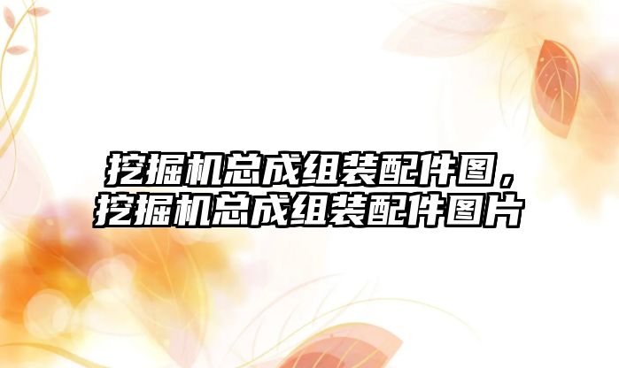 挖掘機總成組裝配件圖，挖掘機總成組裝配件圖片