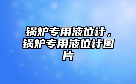 鍋爐專用液位計，鍋爐專用液位計圖片