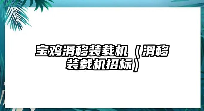 寶雞滑移裝載機（滑移裝載機招標）