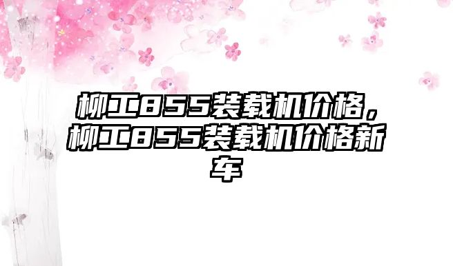 柳工855裝載機(jī)價(jià)格，柳工855裝載機(jī)價(jià)格新車