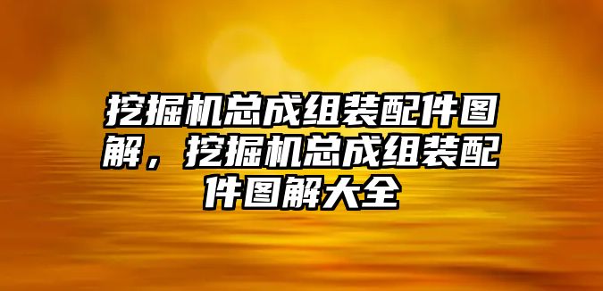 挖掘機(jī)總成組裝配件圖解，挖掘機(jī)總成組裝配件圖解大全