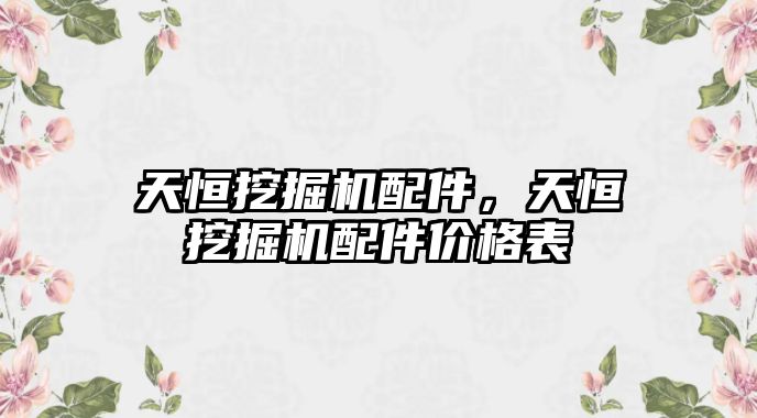 天恒挖掘機配件，天恒挖掘機配件價格表