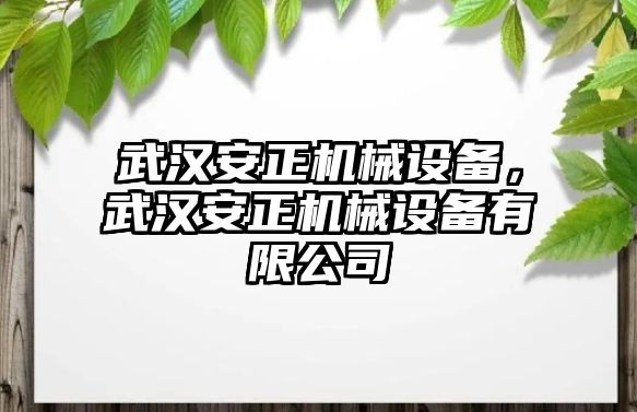 武漢安正機械設備，武漢安正機械設備有限公司