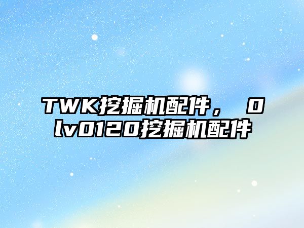 TWK挖掘機配件，ⅴ0lv0120挖掘機配件