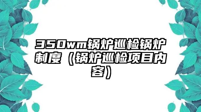 350wm鍋爐巡檢鍋爐制度（鍋爐巡檢項目內容）