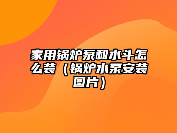 家用鍋爐泵和水斗怎么裝（鍋爐水泵安裝圖片）