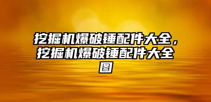 挖掘機爆破錘配件大全，挖掘機爆破錘配件大全圖