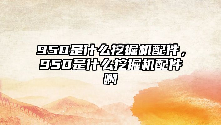 950是什么挖掘機配件，950是什么挖掘機配件啊