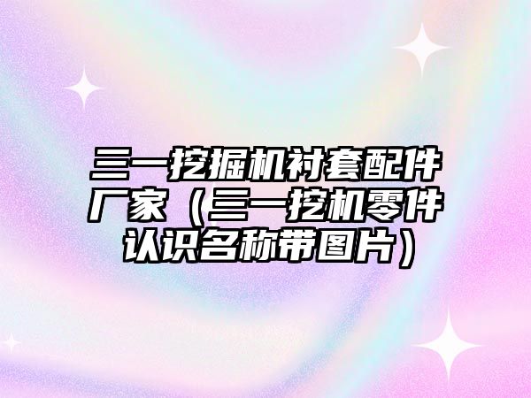 三一挖掘機襯套配件廠家（三一挖機零件認識名稱帶圖片）